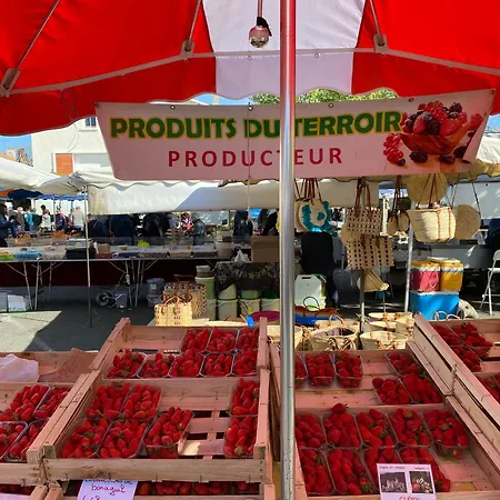 Maison De Vallee Du Lot Et Garonne 2 A 6 Personne Fumel